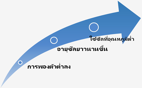 ultra-low-fkm-arrow